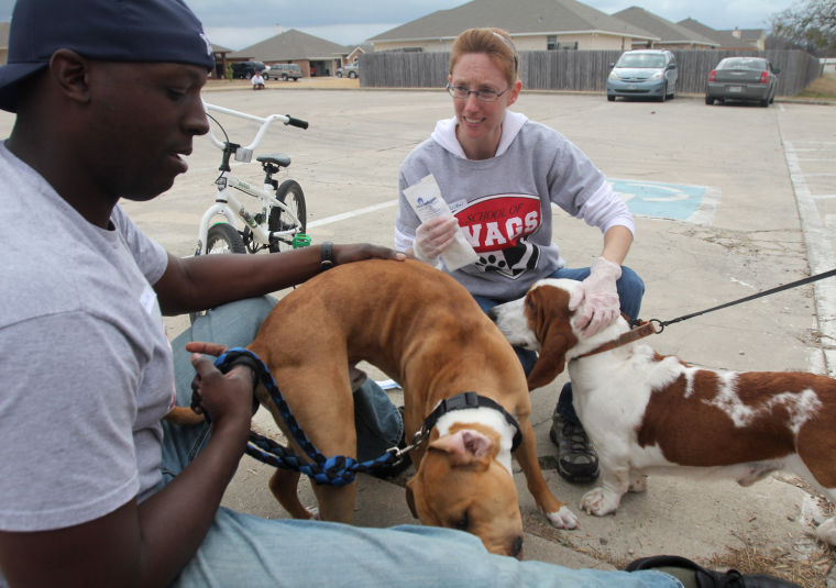 Pet microchipping